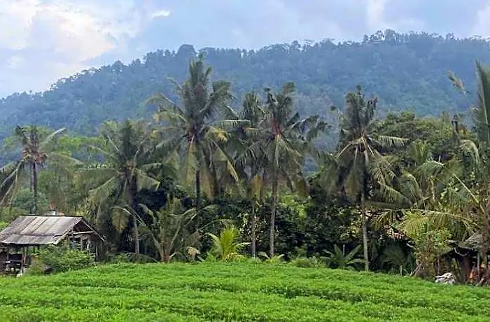 Maison d'hôtes Beji Ayu Sidemen