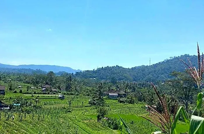 Maison d'hôtes Beji Ayu Sidemen 4*